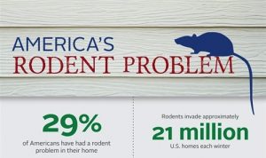 Rodent Problem in America