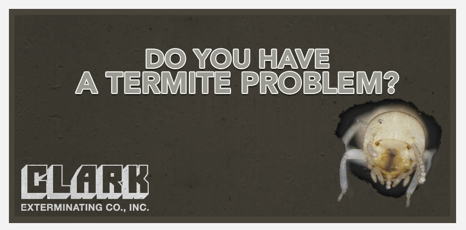 Termites FAQ | Pest Control In Little Rock | Clark Exterminating ...