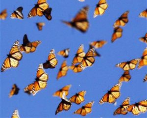 Baby its Cold Outside