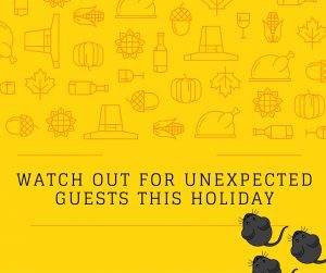 Unexpected Holiday Guests