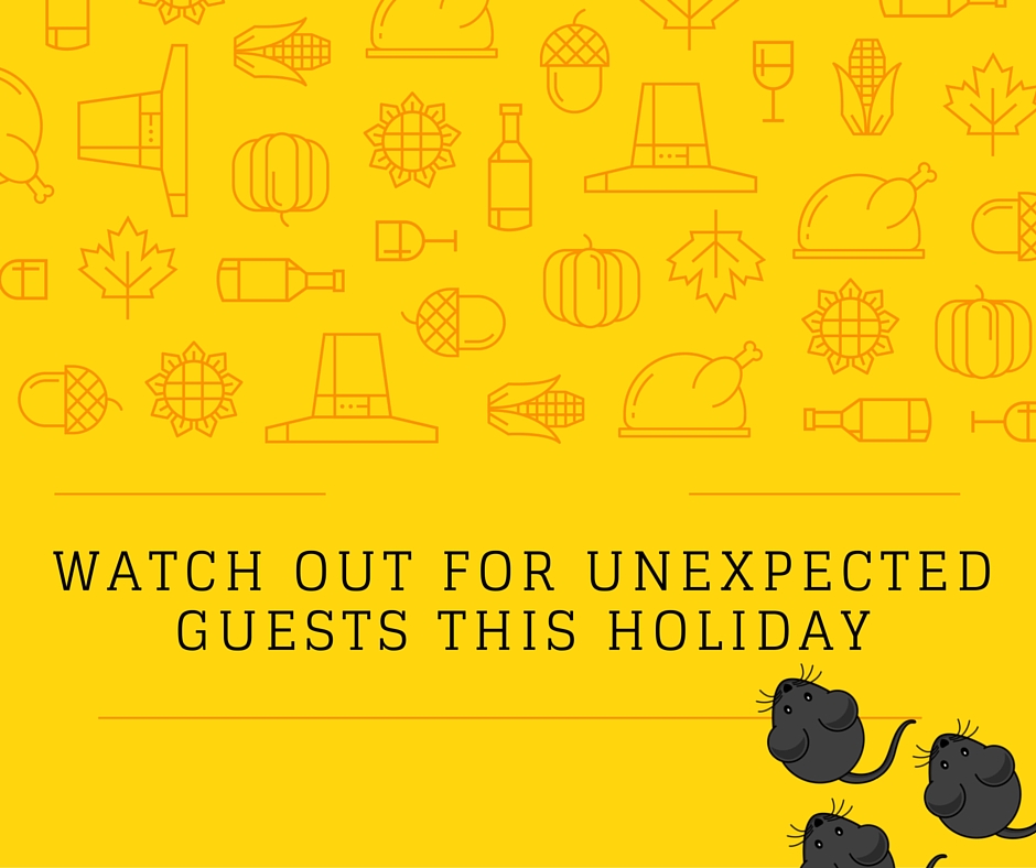 Unexpected Holiday Guests