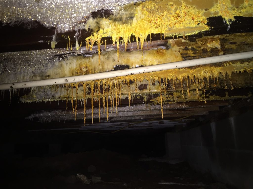 Affect Allergies Too