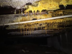 Affect Allergies Too