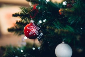 Christmas Tree Bugs