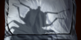 Bed Bugs