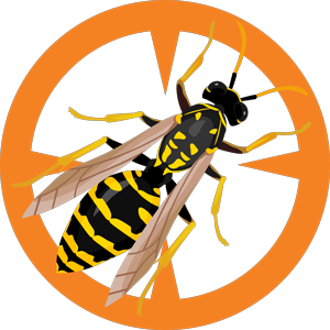 wasp illustration